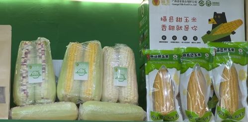 横县借助 东盟 平台 开拓茉莉花茶产品国内外市场